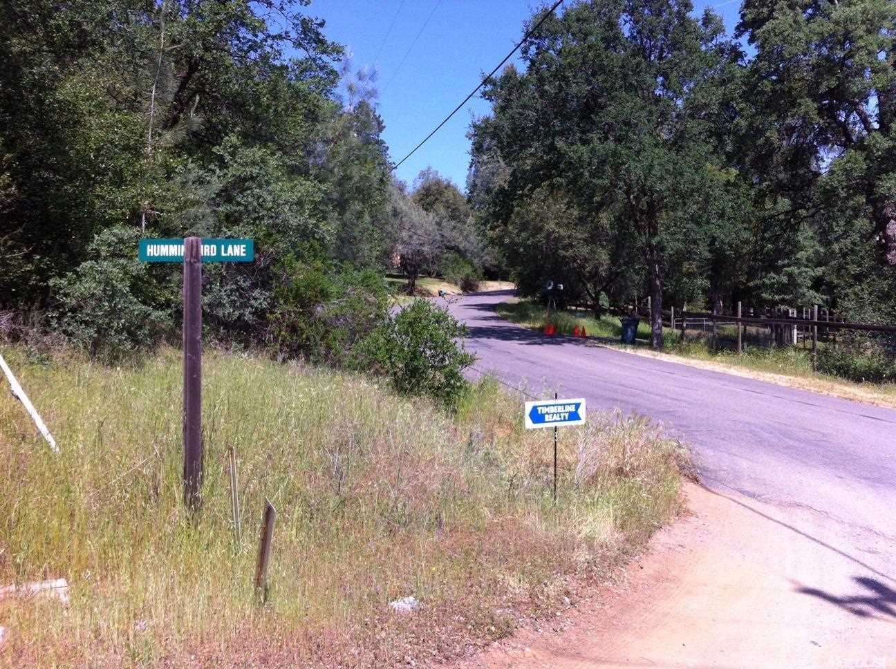 Road intersection near Hummingbird Lane