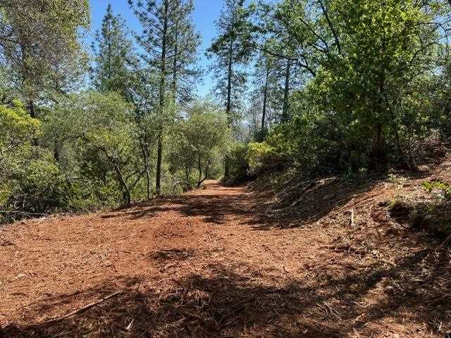 Cleared wooded portion of the property