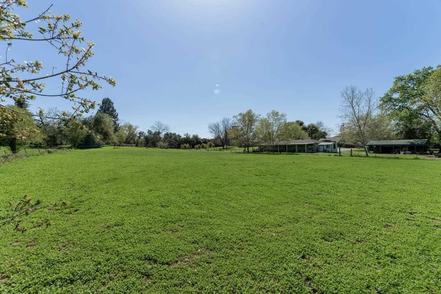 Pasture-like open land